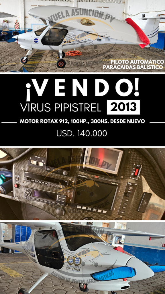 Virus Pipistrel 2013